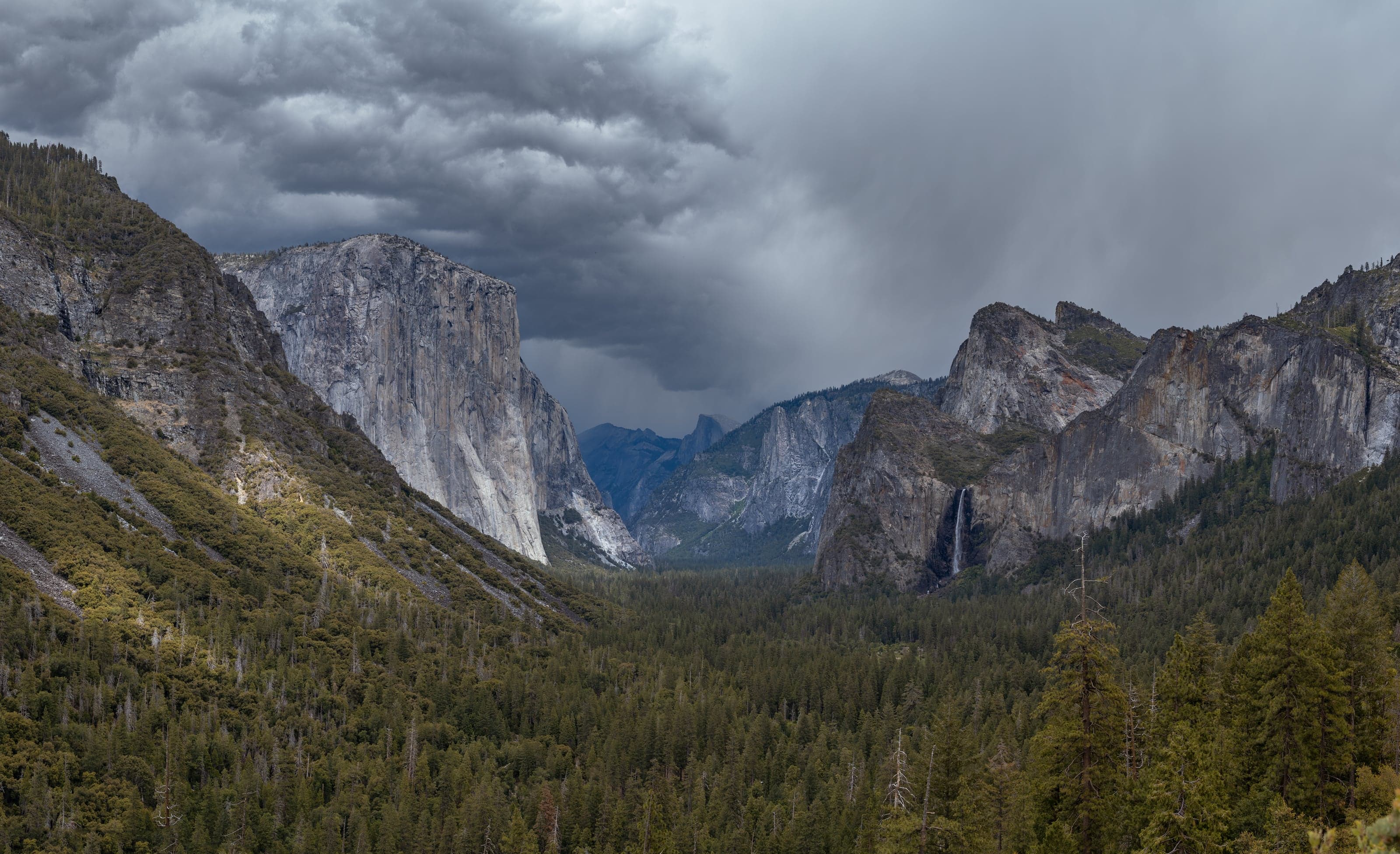 Nature Vol. III cover