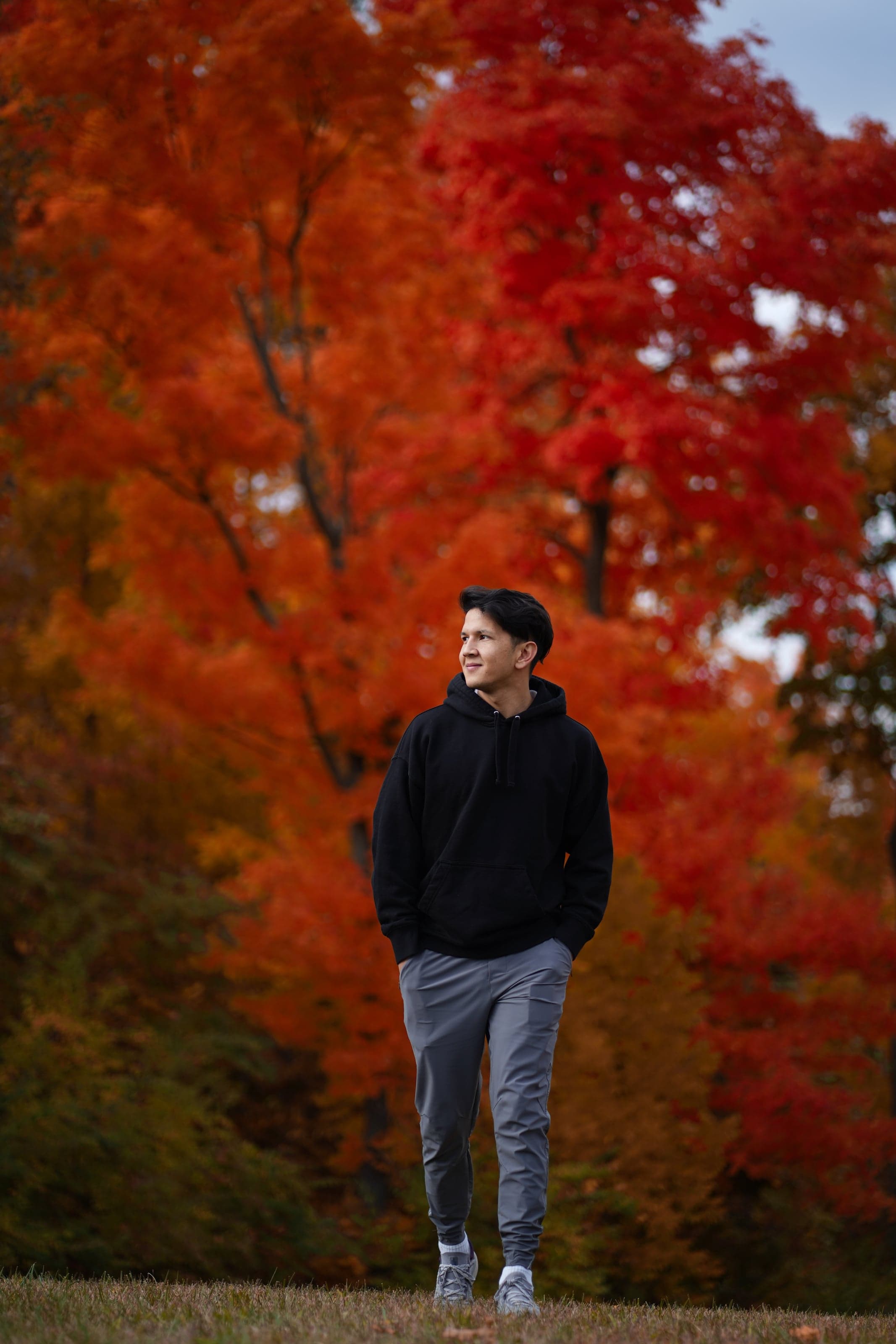 Portrait of Mostafa Bamyani