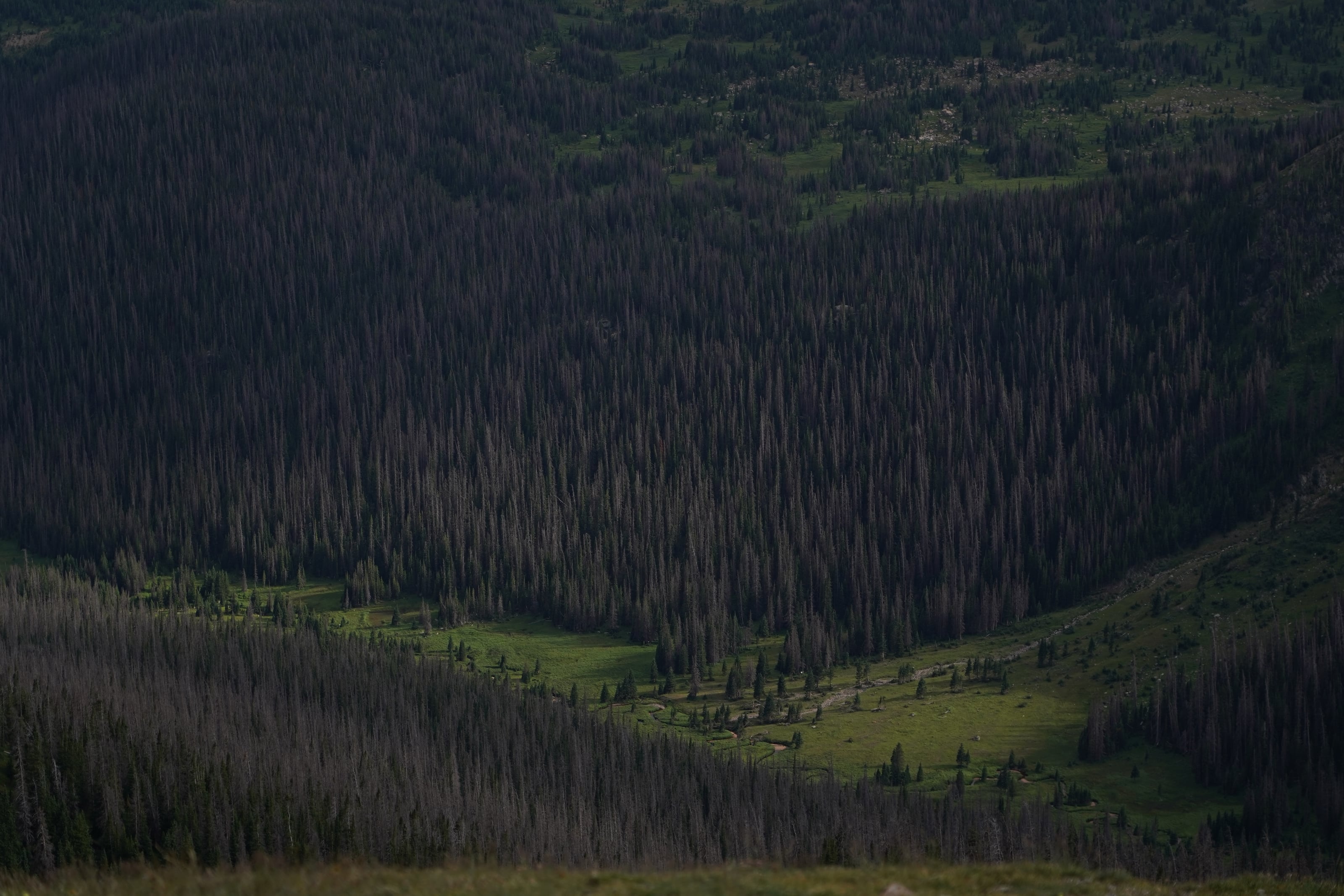 Nature Vol. II 5