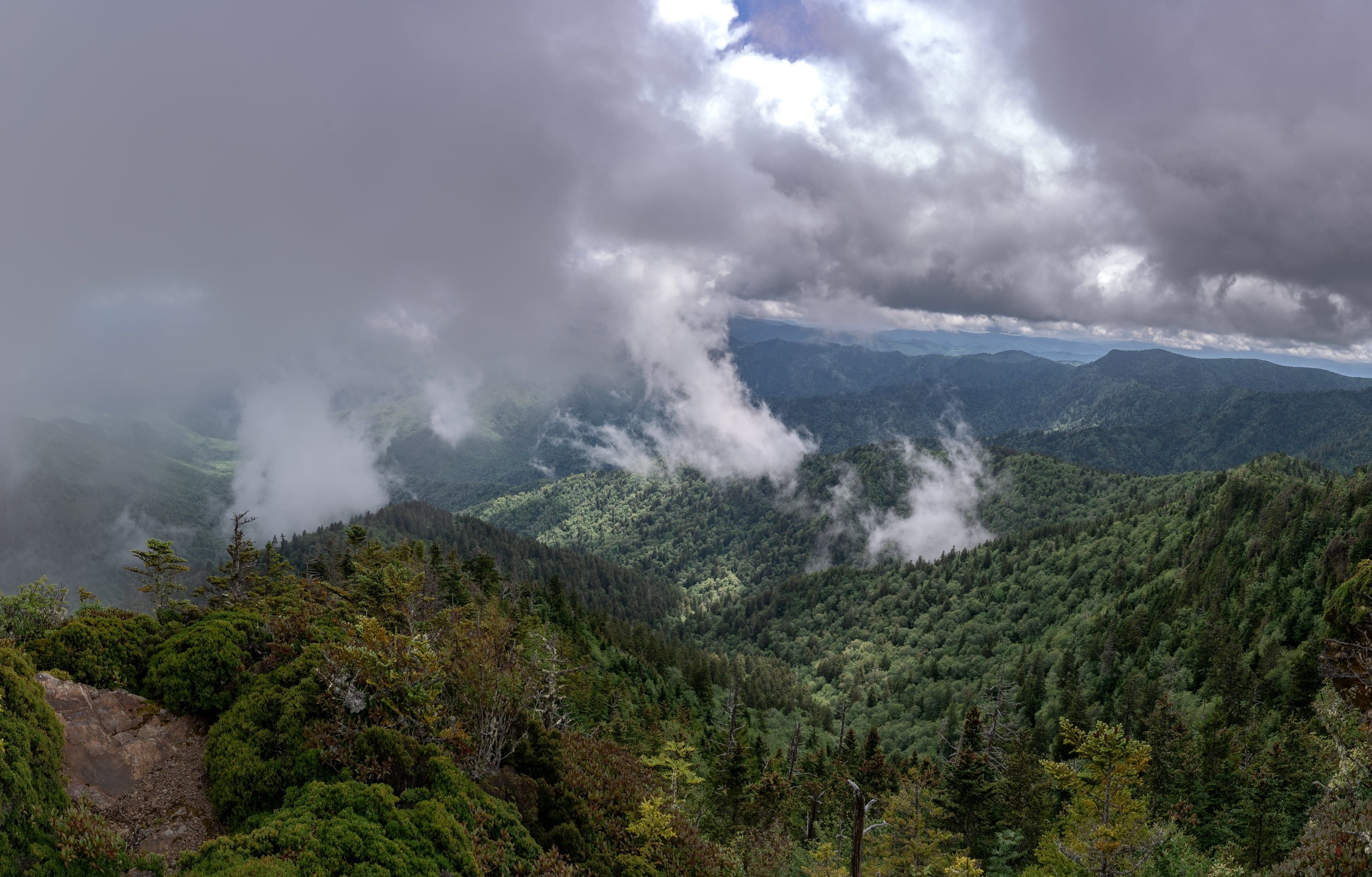 Nature Vol. I 10