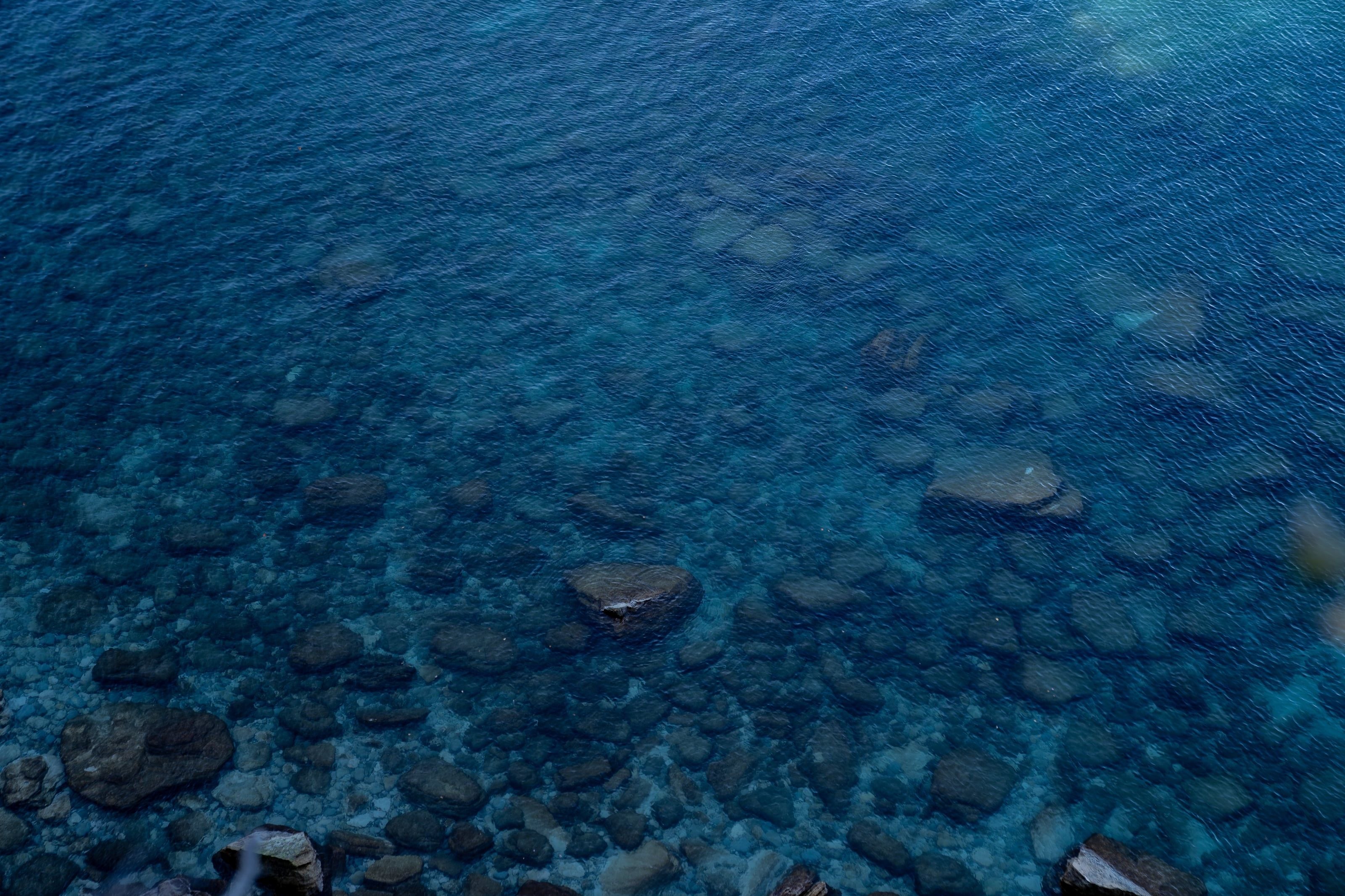 Nature Vol. I 5