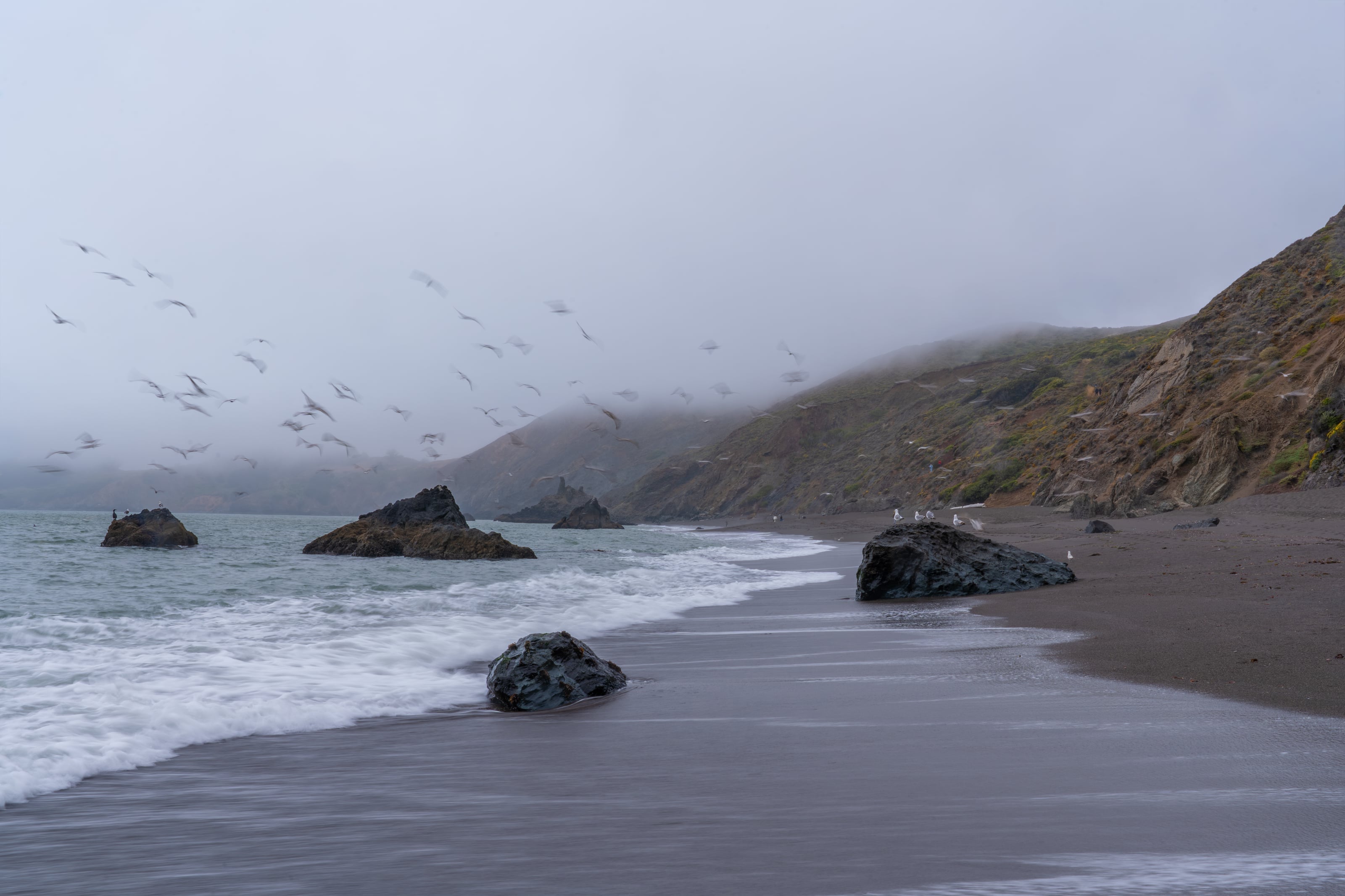 Nature Vol. III 11