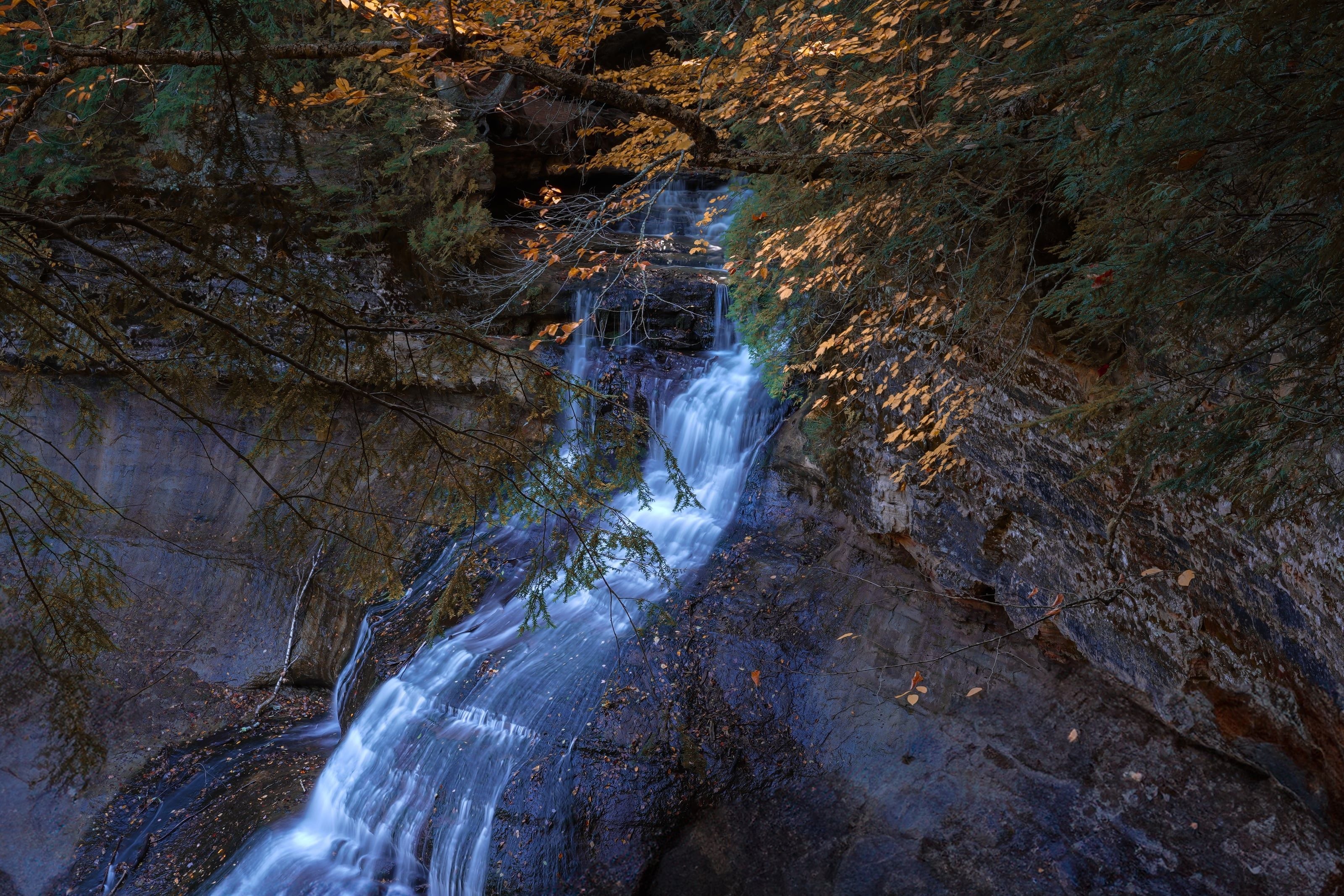 Nature Vol. I 6