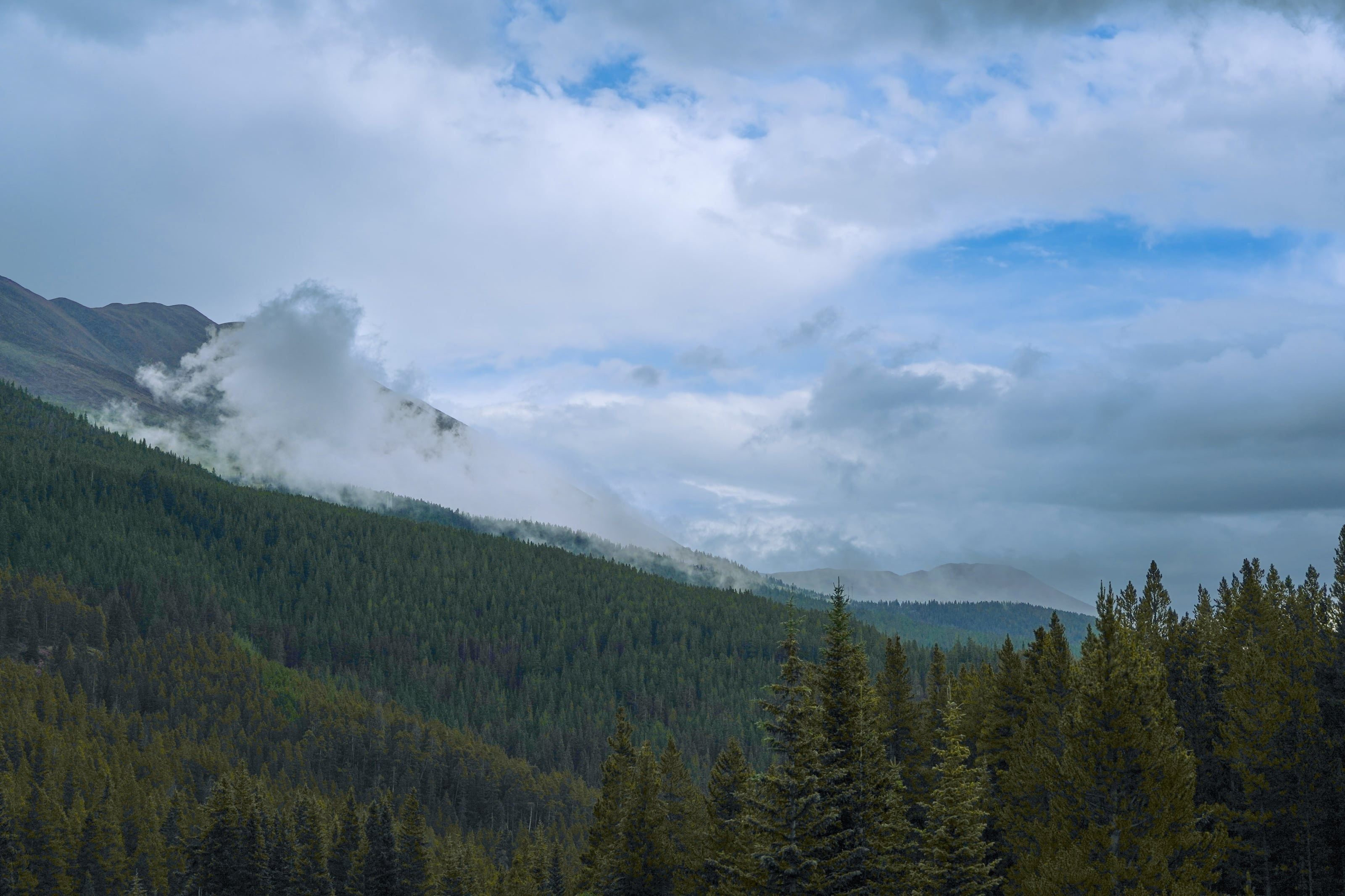 Nature Vol. II 1